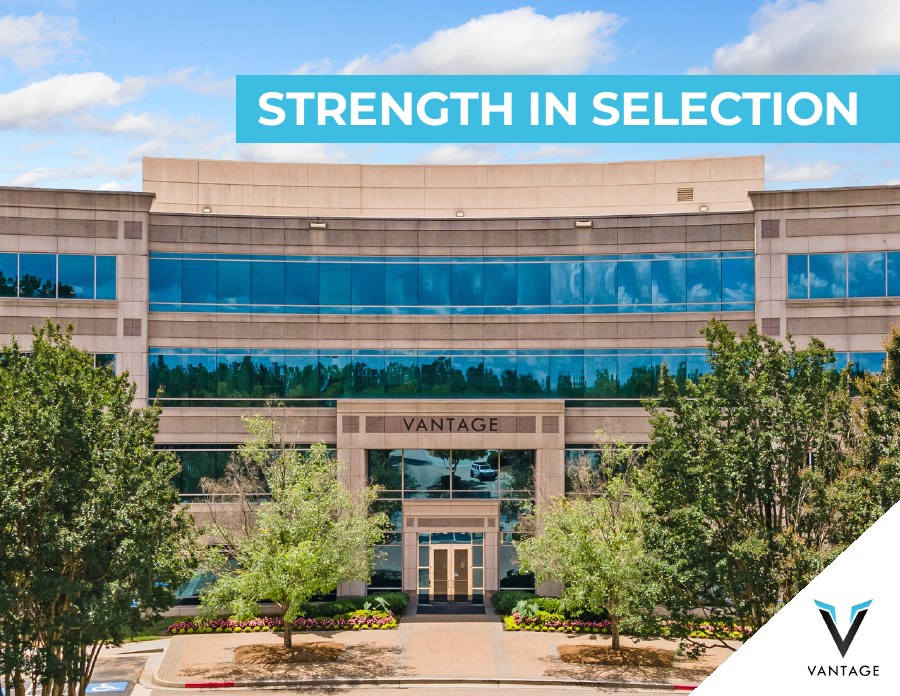 Cover of Strength in Selection